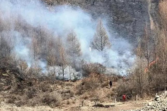 明火已撲滅，初步判斷由祭祀用火引發(fā)！今年已發(fā)生多起