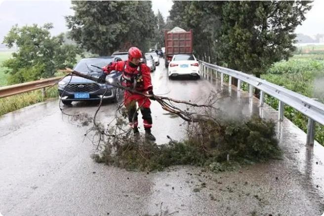 麒麟?yún)^(qū)遭暴雨突襲|部分道路積水嚴(yán)重，消防緊急排澇解憂